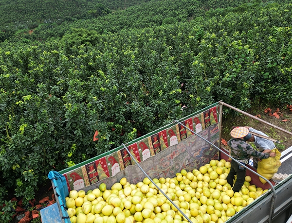 基地风采