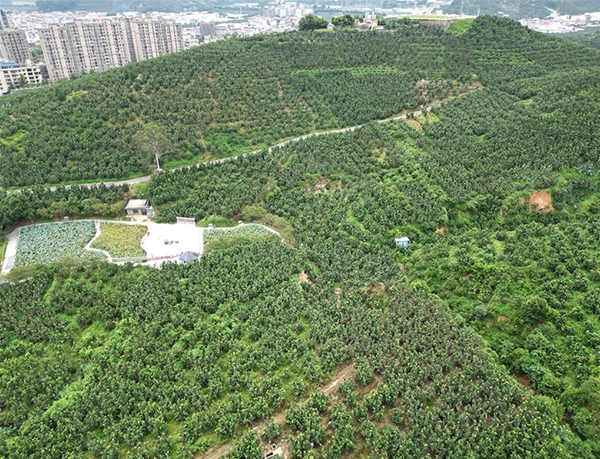 基地风采